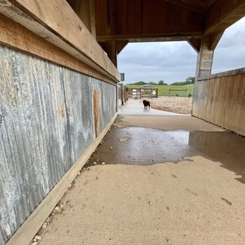 K9 Korral Dog Run